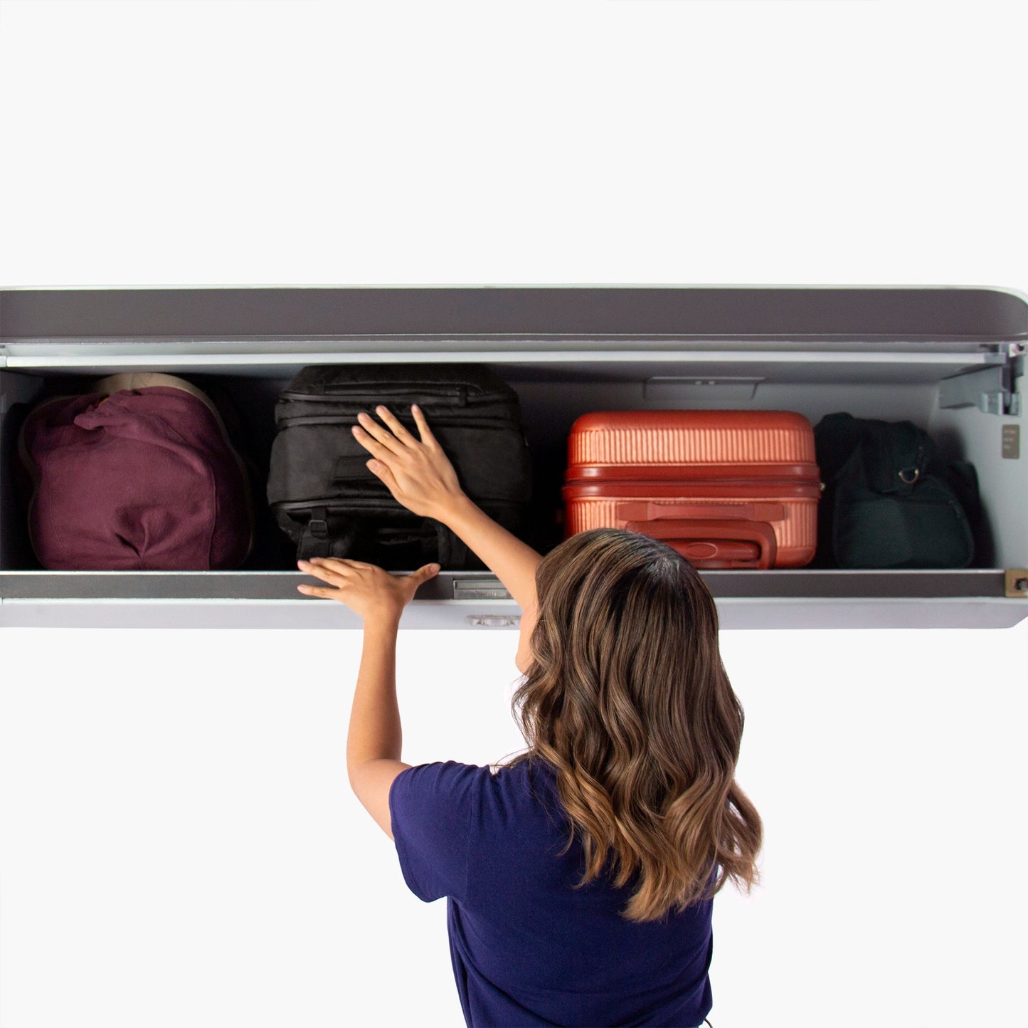 Fits in the overhead bin