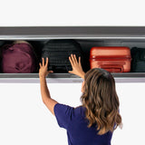 Fits in the overhead bin