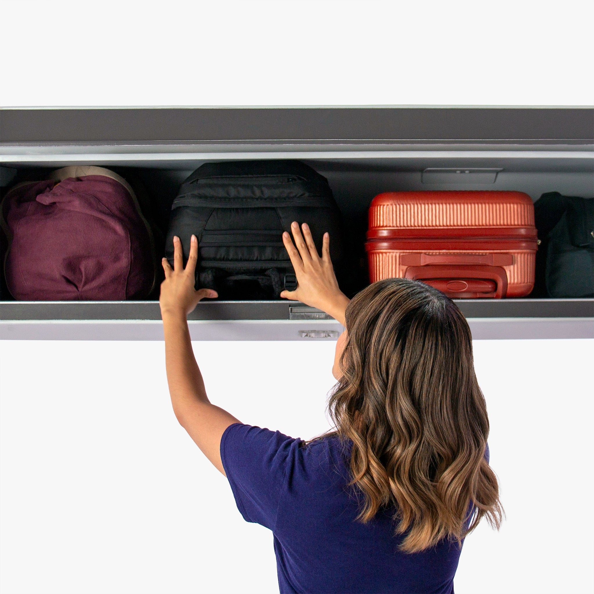 Fits in the overhead bin