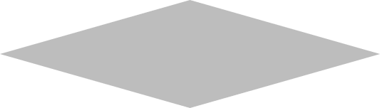 Image about POLYESTER BARRIER